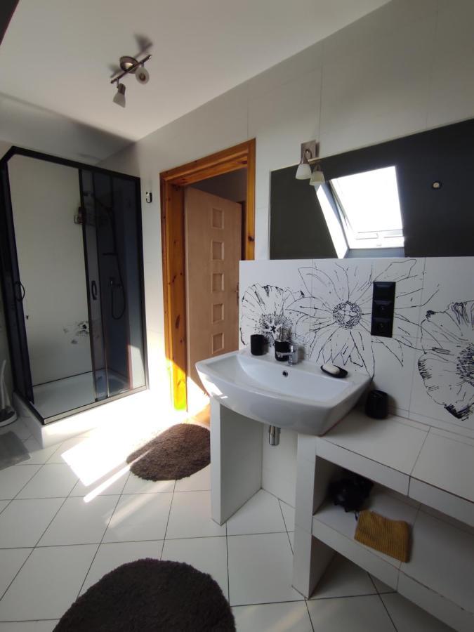Przyjazny Domek Tarnowskie Góry 外观 照片