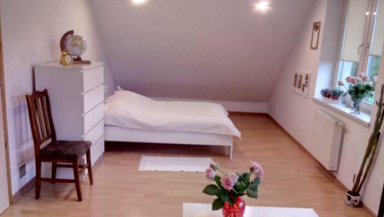 Przyjazny Domek Tarnowskie Góry 外观 照片