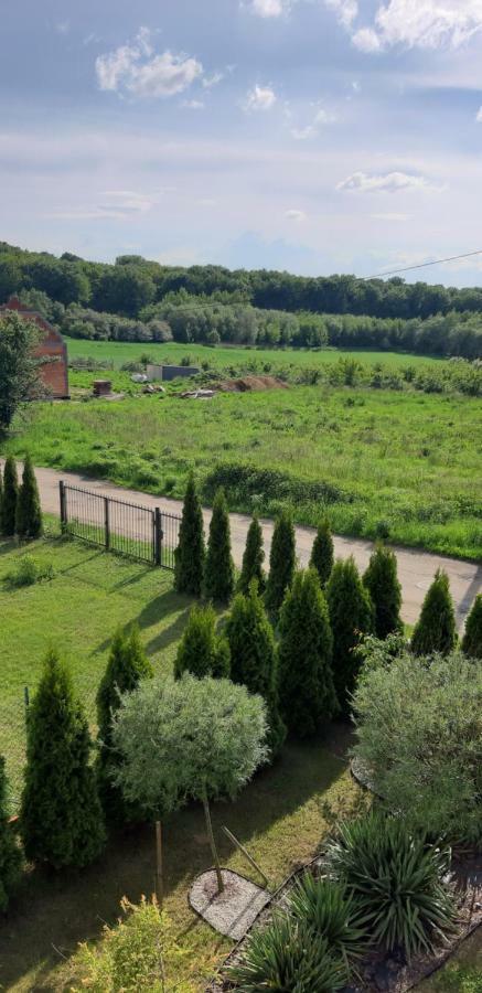 Przyjazny Domek Tarnowskie Góry 外观 照片